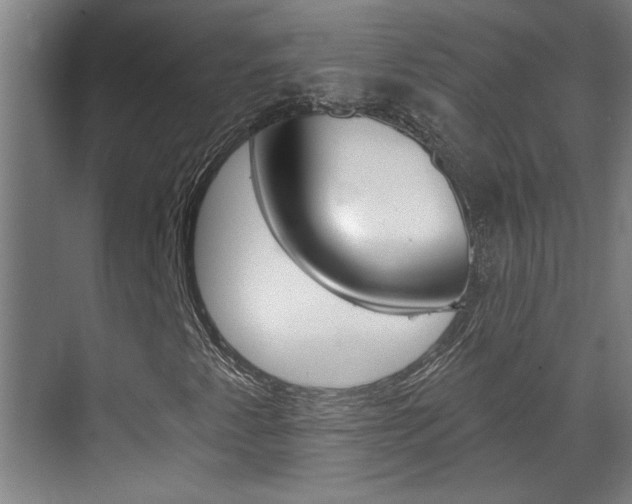 X0000070861345200606161000