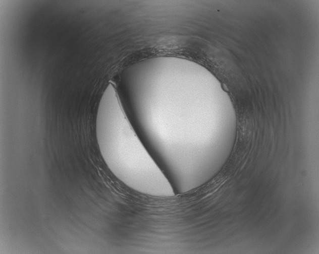 X0000070861346200606161000