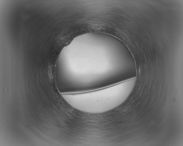 X0000070861347200606161000
