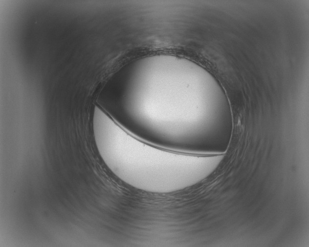 X0000070861348200606161000