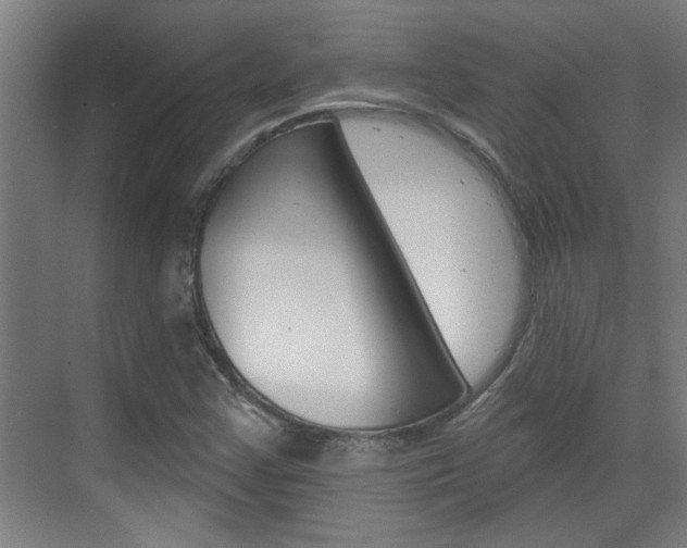 X0000070861355200606161000