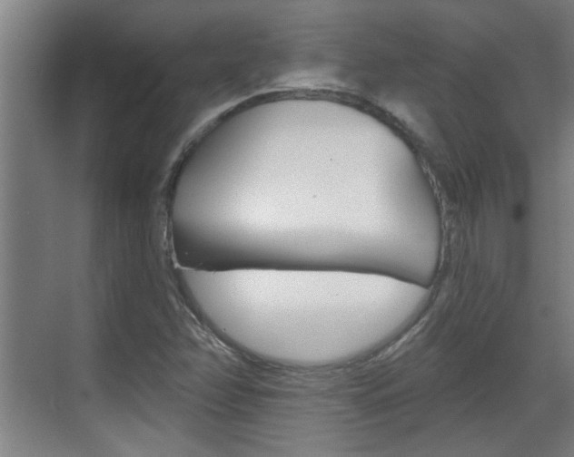 X0000070861358200606161000