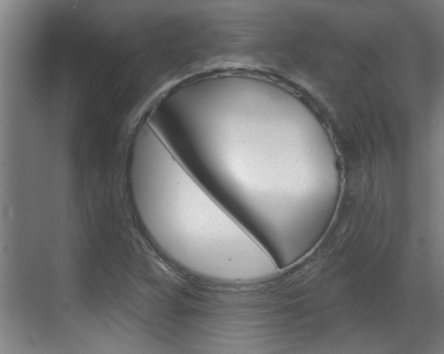 X0000070861359200606161000