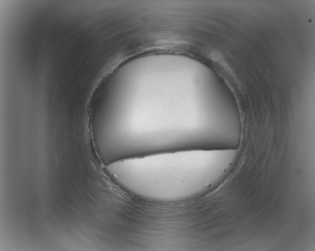 X0000070861362200606160959