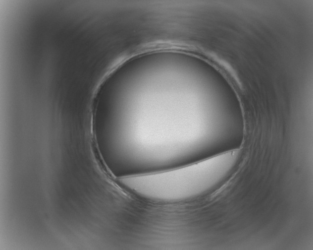 X0000070861365200606160959
