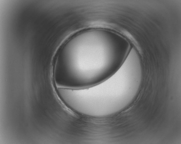 X0000070861376200606160959