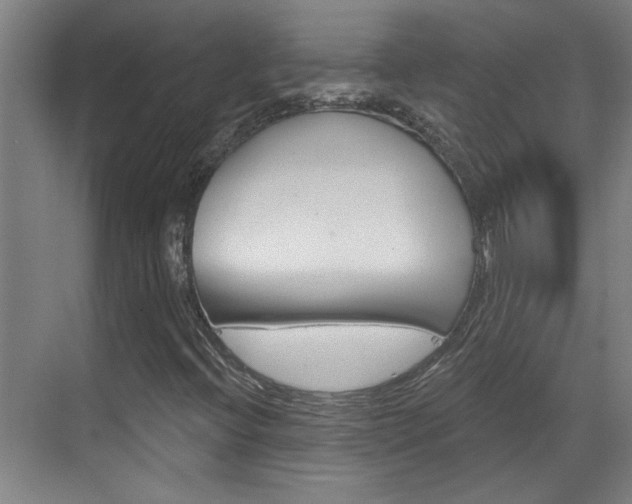X0000070861396200606160958