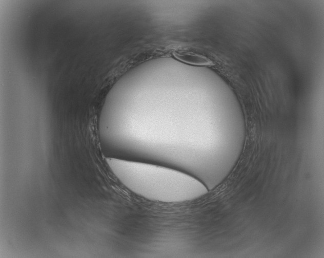X0000070861397200606160958