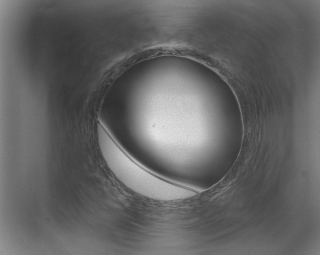 X0000070861398200606160958