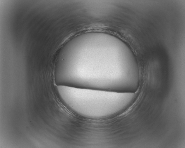 X0000070861401200606160958
