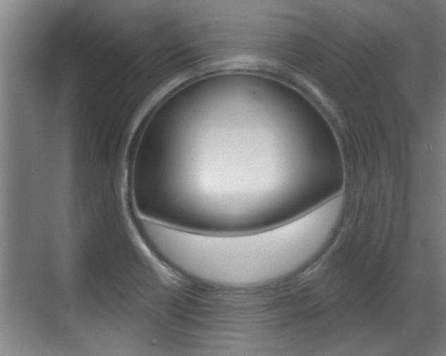 X0000070861418200606160959