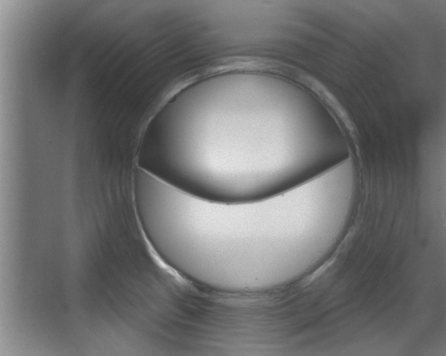 X0000070861433200606160959