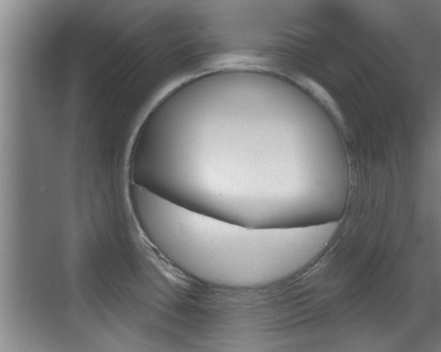 X0000070861435200606160959