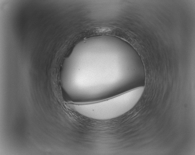 X0000070861441200606160958