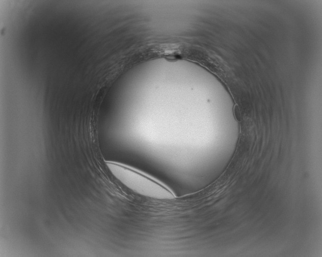 X0000070861442200606160958