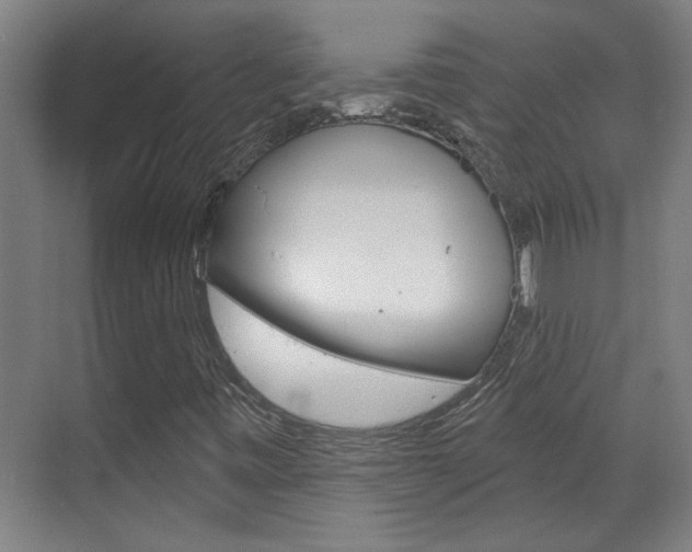 X0000070861443200606160958
