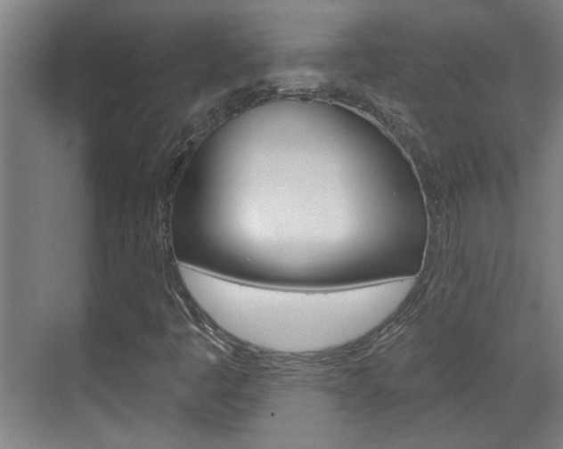 X0000070861445200606160958