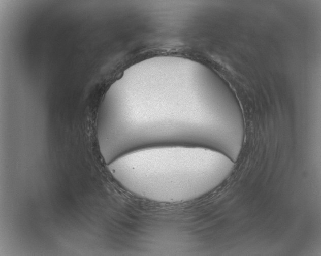 X0000070861447200606160958