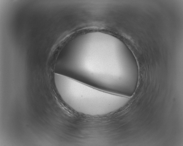 X0000070861448200606160958