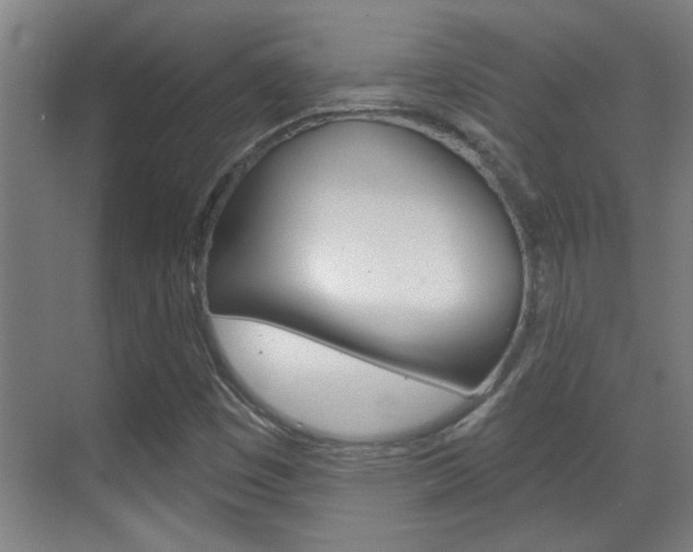 X0000070861449200606160958
