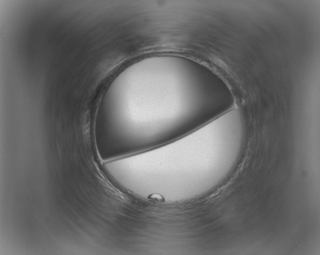 X0000070861450200606160958