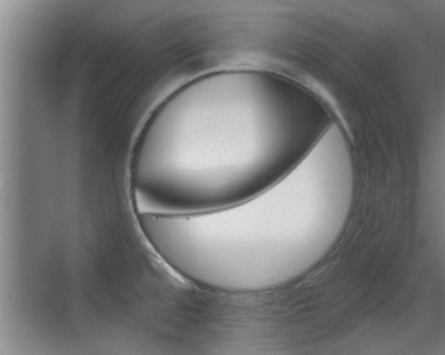 X0000070861480200606160957