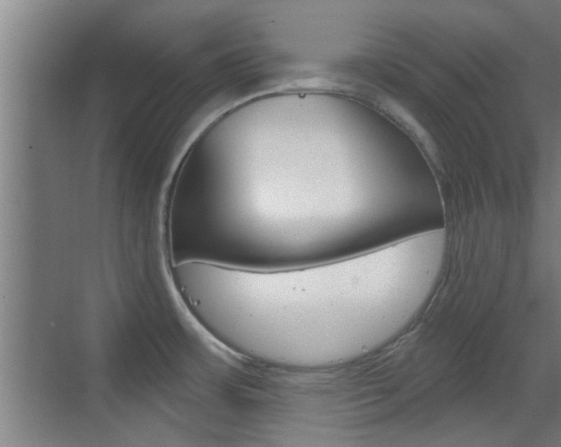 X0000070861483200606160957