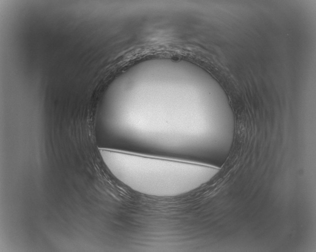 X0000070861490200606160957