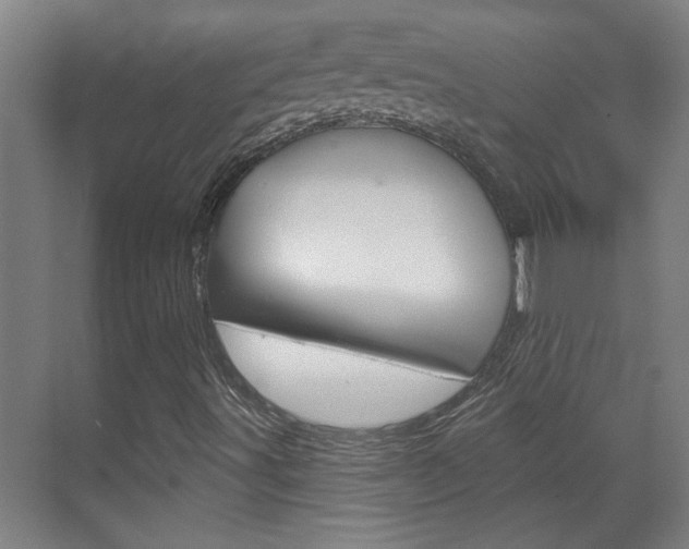 X0000070861491200606160957