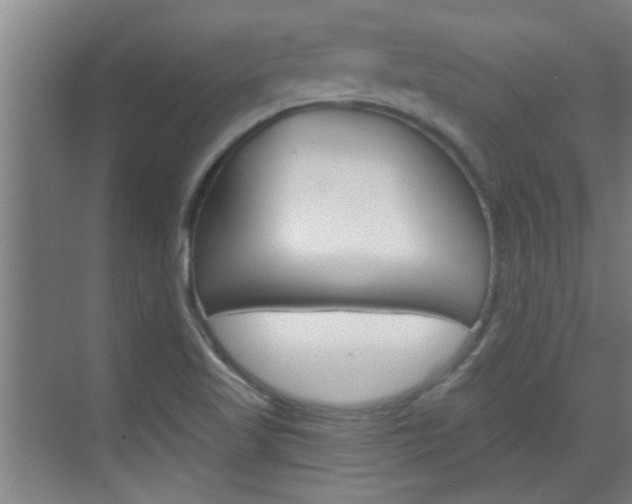 X0000070861509200606160957