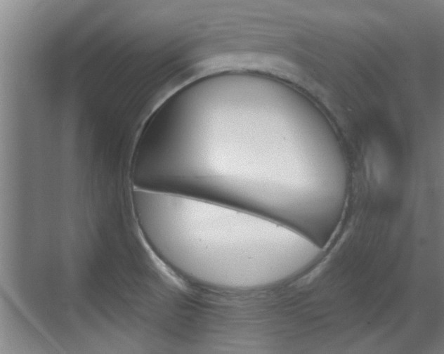 X0000070861521200606160957