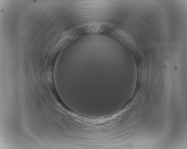 X0000070860035200606161151