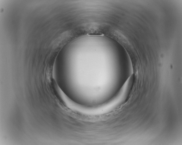 X0000070860037200606161151