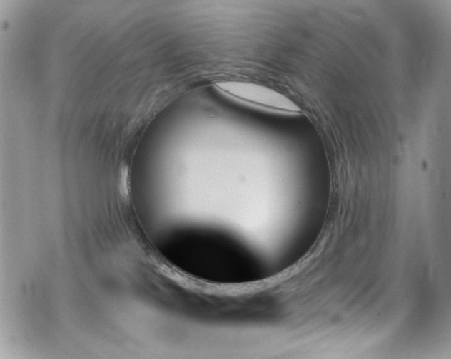 X0000070860041200606161151
