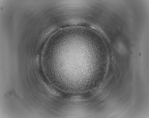 X0000070860066200606161151