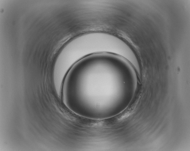 X0000070860068200606161151
