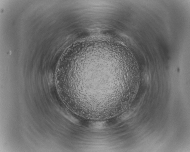X0000070860081200606161151