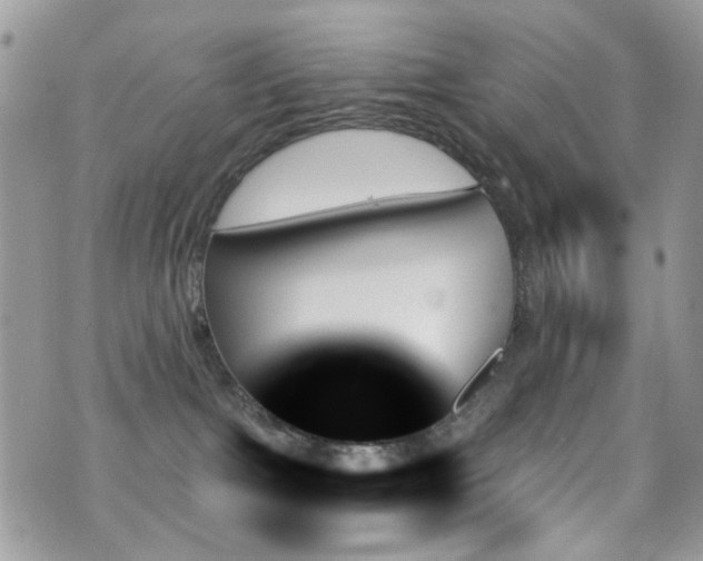 X0000070860091200606161151
