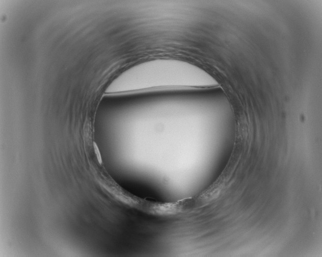 X0000070860092200606161151