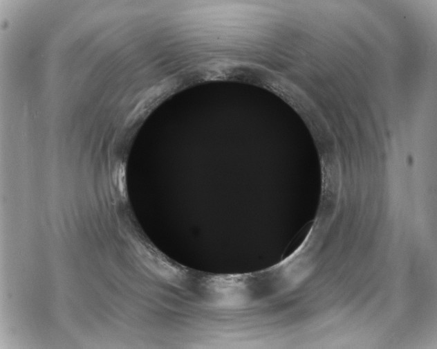 X0000070860094200606161151