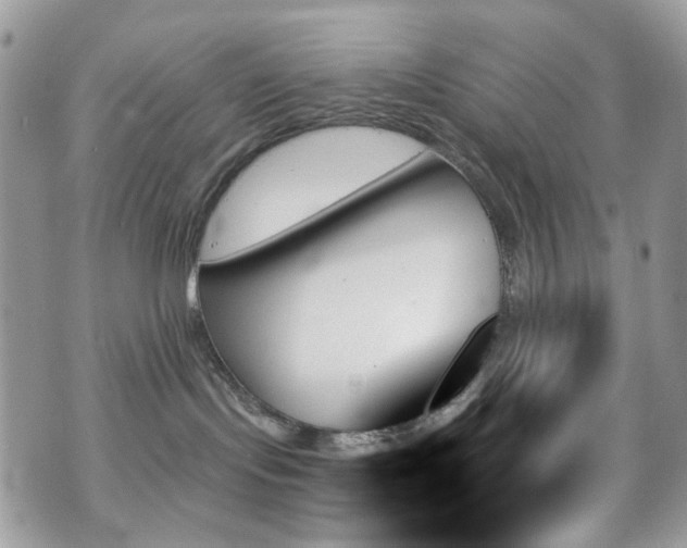 X0000070860095200606161151