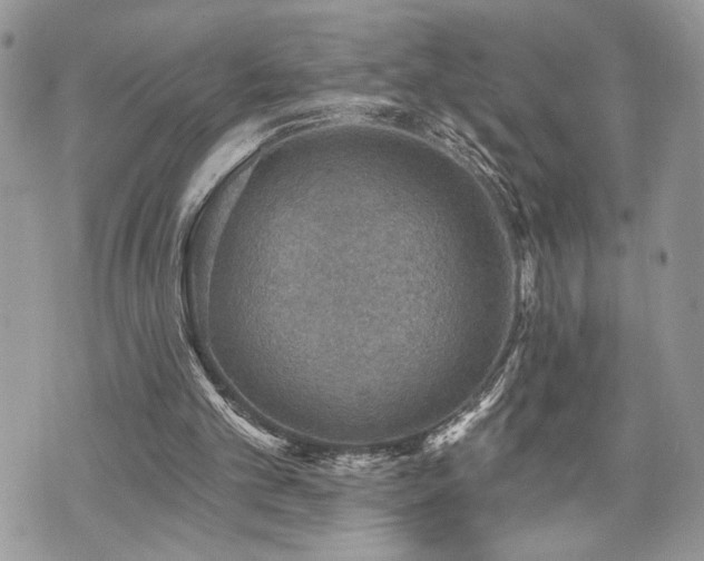 X0000070860101200606161150