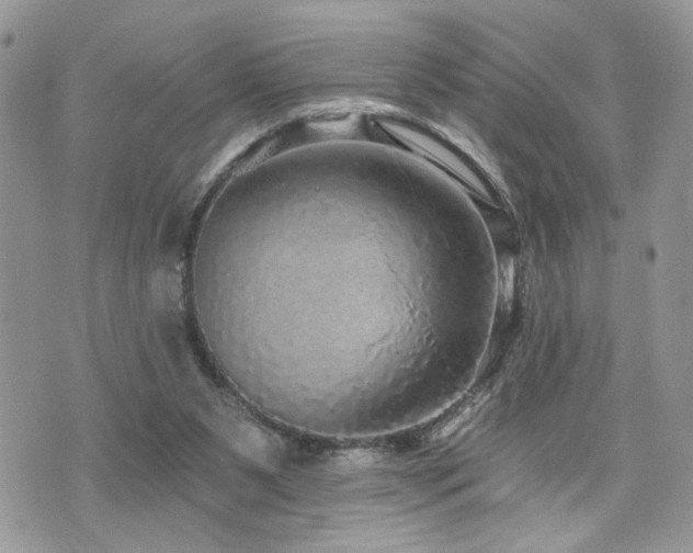 X0000070860111200606161150
