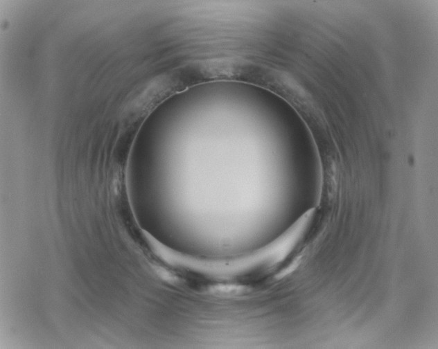 X0000070860125200606161150