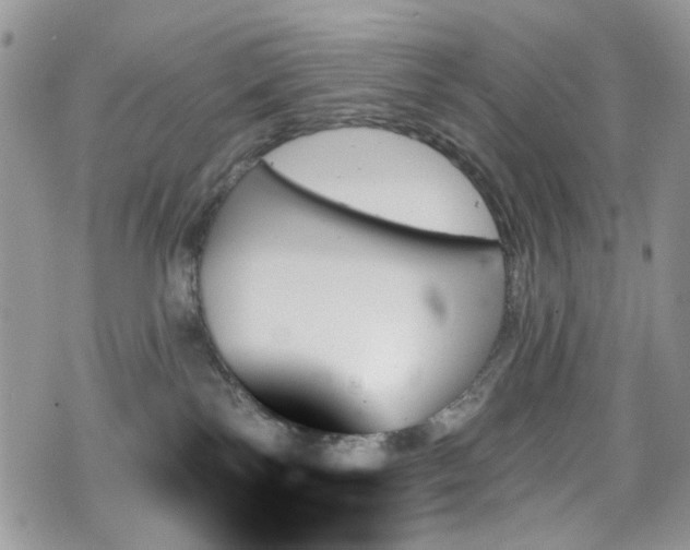 X0000070860138200606161150