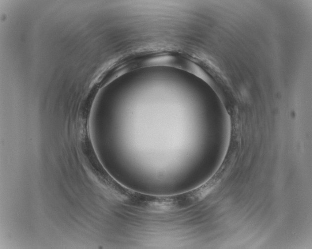 X0000070860164200606161149