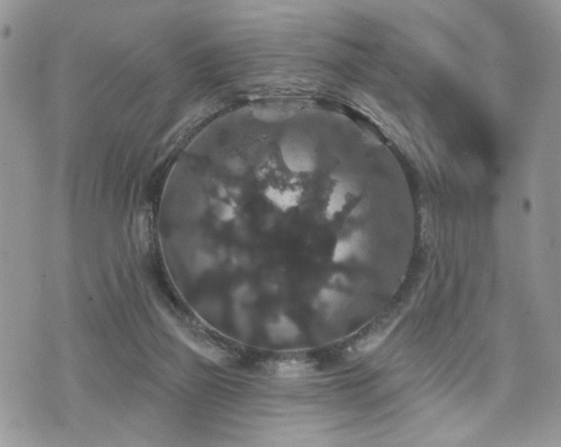 X0000070860165200606161149