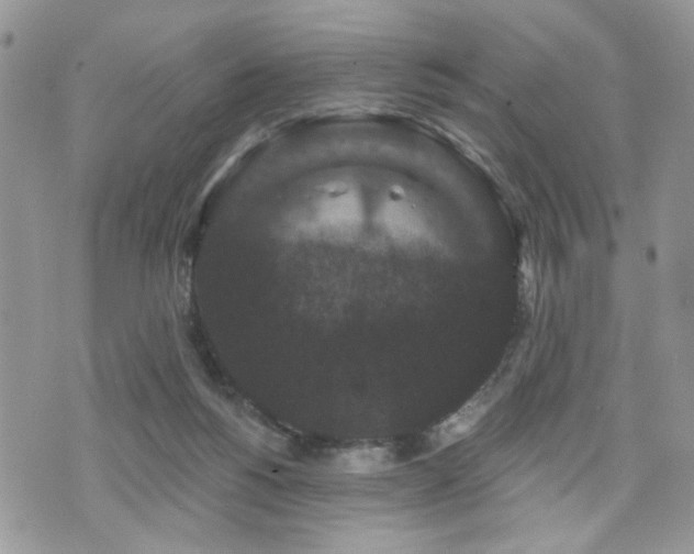 X0000070860168200606161149