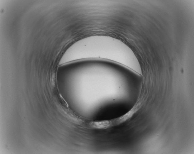 X0000070860188200606161150