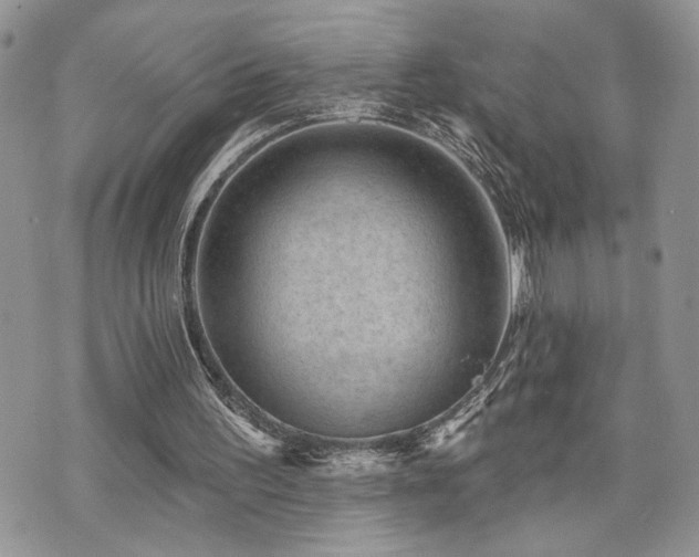 X0000070860195200606161149